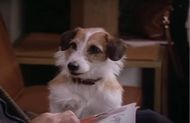 Frasier (1993–2004) | Image Source: NBC